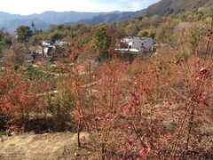 -塔川景区