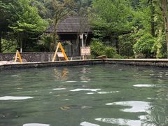 -中铁花水湾温泉酒店(大邑店)