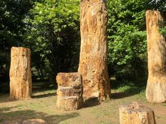 -国家植物园南园