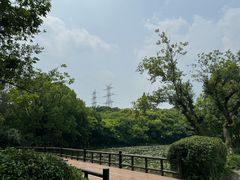 -八卦田遗址公园