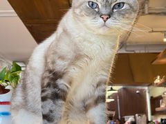 -雕刻时光·咖啡·酒吧·西餐(香山店)