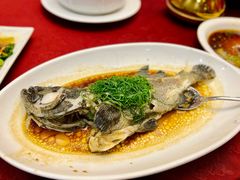 -金华安大酒楼·老牌潮菜·粤式茶点(东方国际店)