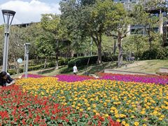 -白石龙音乐公园