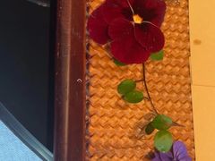 -忆家名门·上海菜(徐家汇店)