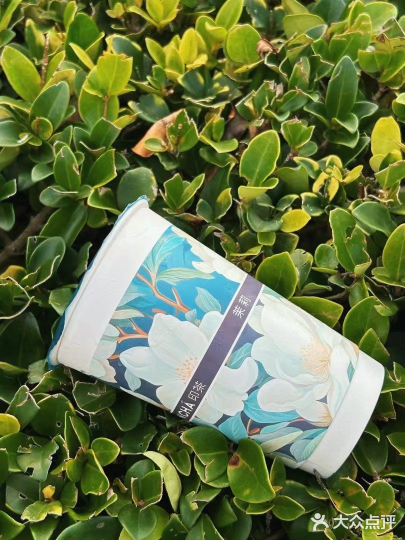 不允许还有人不知道印茶的新品！