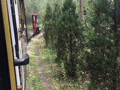 -合肥滨湖国家森林公园