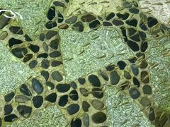 -台山颐和温泉城