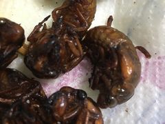 -海拉尔碳烤羊腿烤鸽子(吕营店)