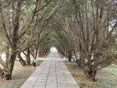 -洛阳古墓博物馆