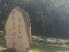-田心森林公园