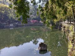 -忠山公园