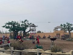 -中国马镇舞马世界主题乐园