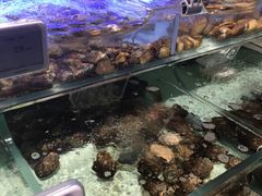 -老闽味沙茶面·姜母鸭(传承35年曾厝垵店)