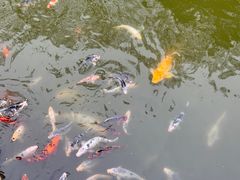 -苏州文庙(姑苏区)