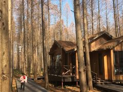 -黄海国家森林公园