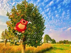 -汉长安城未央宫国家考古遗址公园