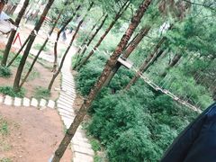 -梦幻奥陶纪景区