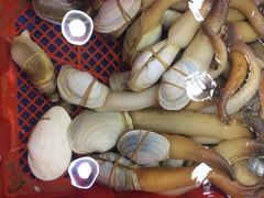-东江海鲜酒家(艺都分店)
