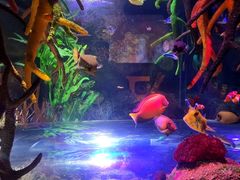 -沈阳海洋探索中心