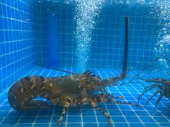 -稷泽·海丽宾雅温泉度假酒店