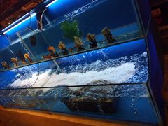 水产区-芭菲盛宴·环球美食(北城国际店)