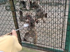 -宿豫区运河湾森林动物园