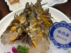 -东海怡品海鲜豆捞(舟宿夜江店)
