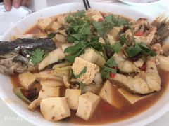 -煲来饱去冷水鱼