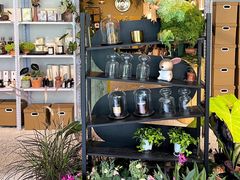 -PlantsEatery·植物食堂(REX春熙店)