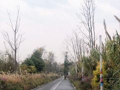 -白鹭湾湿地公园