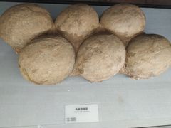 -湖南省地质博物馆