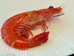 -南海渔村·徐博馆(琶洲店-粤菜养生宴)