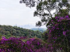 -广州市白云山风景名胜区