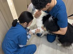 -申普宠物医院·眼科·心内科·影像科(普陀分院)
