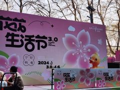 -金茂览秀城