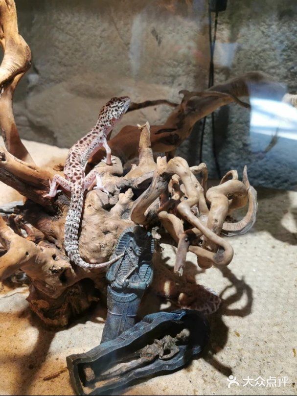 118元即可带娃打卡一整天的动物王国！