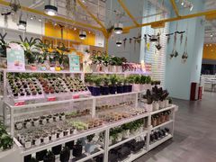 -KKV(深圳宏发大仟里店)