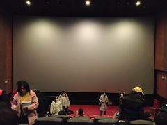 -卢米埃影城(住总万科杜比全景声激光店)