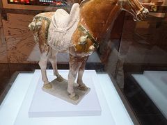 -衢州市博物馆