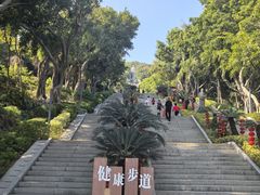 -青礁慈济宫