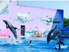 -北戴河圣蓝海洋公园