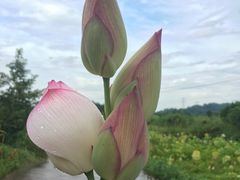 -小格里自然风景区