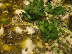 iphone_upload_pic-顺水鱼馆(克西路店)