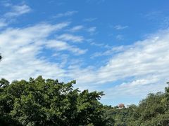 -深圳仙湖植物园