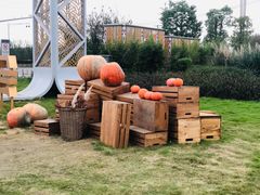 -中国天府农业博览园