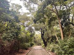 -燕晗山郊野公园