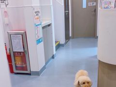 -宠物星动物医院·眼科·异宠·猫科(江南大道总院)