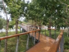 -东郊湿地公园