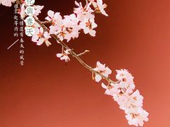 -桃花堤公园