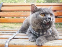 -达爱动物医院·犬猫分区·CT·复杂眼科(远洋山水分院)